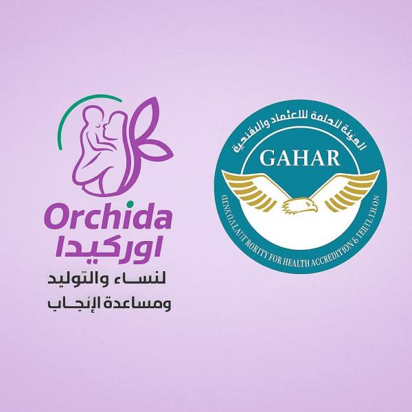 اليوم الاخباري