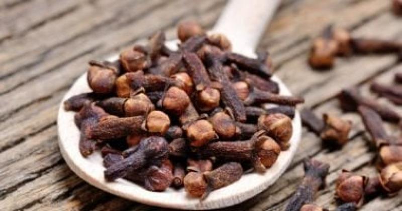 اليوم الاخباري