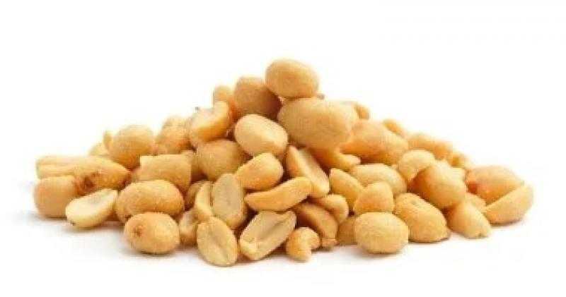 ماذا يحدث فى جسمك إذا أكلت حفنة من الفول السوداني كل مساء فى الشتاء؟