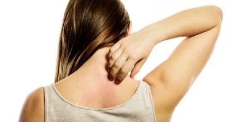 اليوم الاخباري