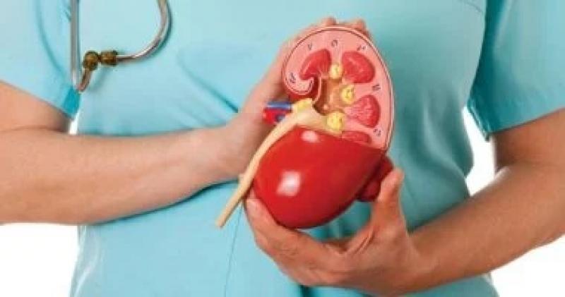 اليوم الاخباري