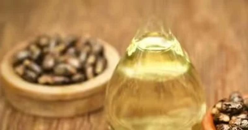 اليوم الاخباري