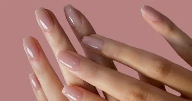 اليوم الاخباري