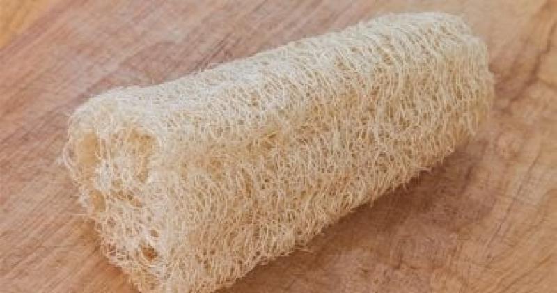 اليوم الاخباري