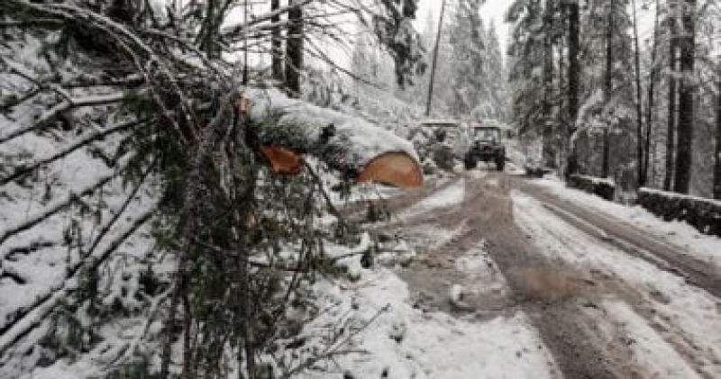 اليوم الاخباري