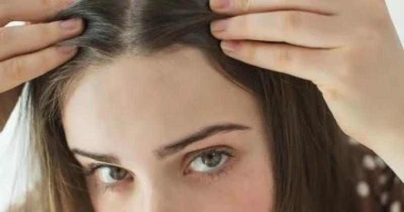 اليوم الاخباري