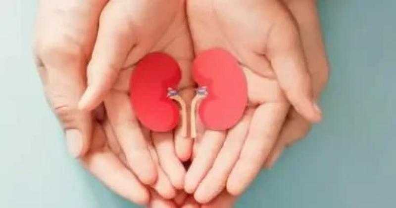 تظهر حتى مع شرب المياه الكافى.. علامات في البول والجلد على أمراض الكلى
