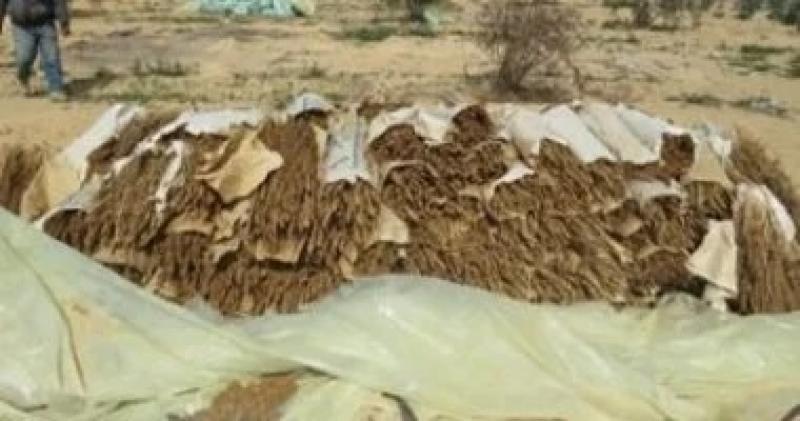 اليوم الاخباري