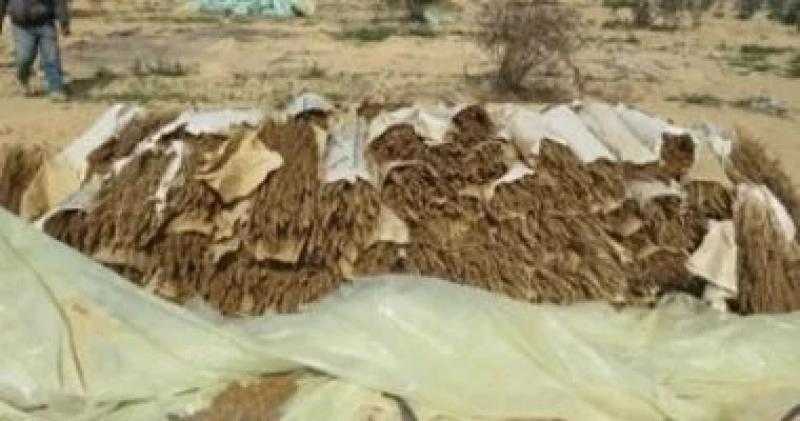 ضبط عنصرين جنائيين غسلا 150 مليون جنيه من تجارة المخدرات