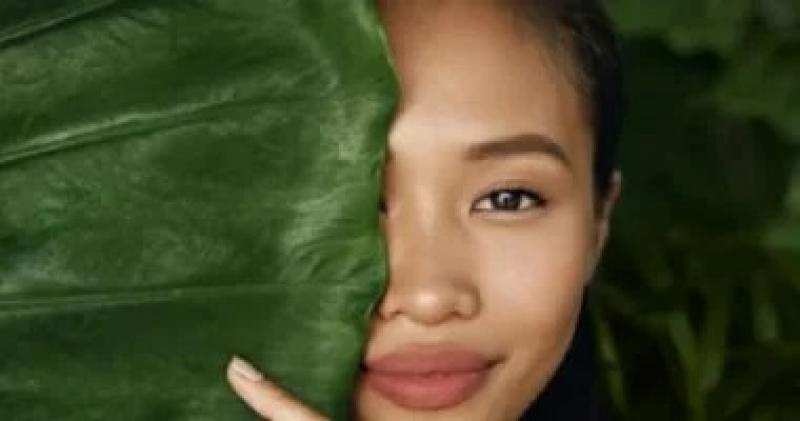 اليوم الاخباري