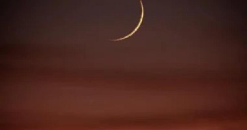 اليوم الاخباري