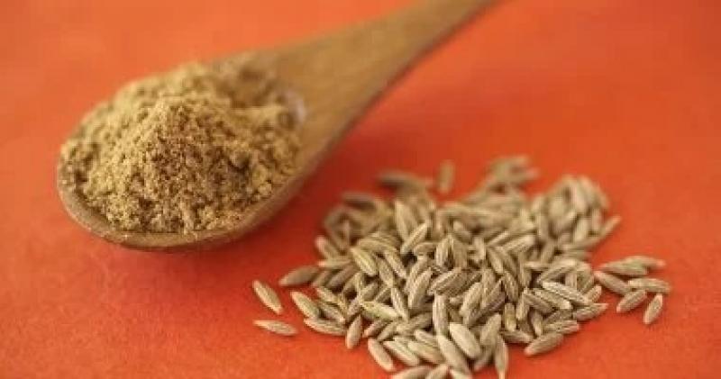 اليوم الاخباري