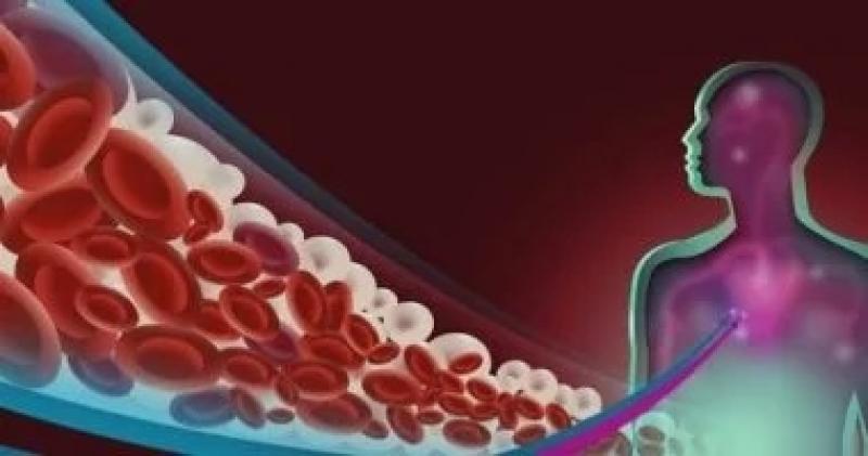 اليوم الاخباري