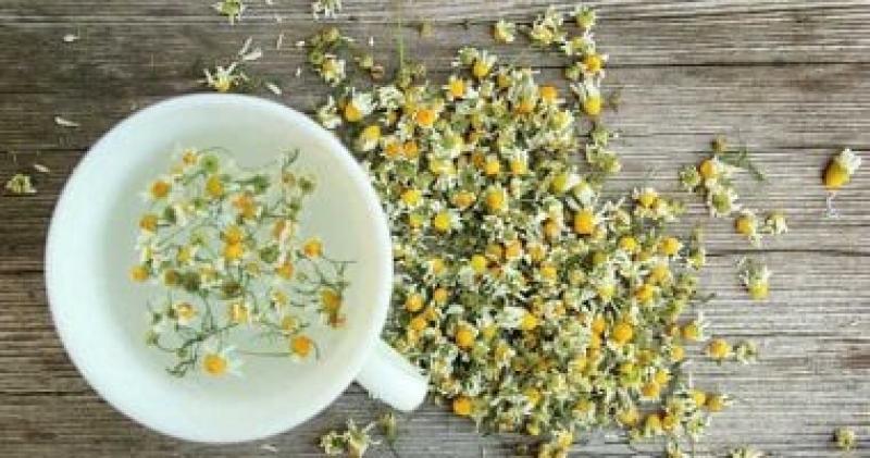 اليوم الاخباري