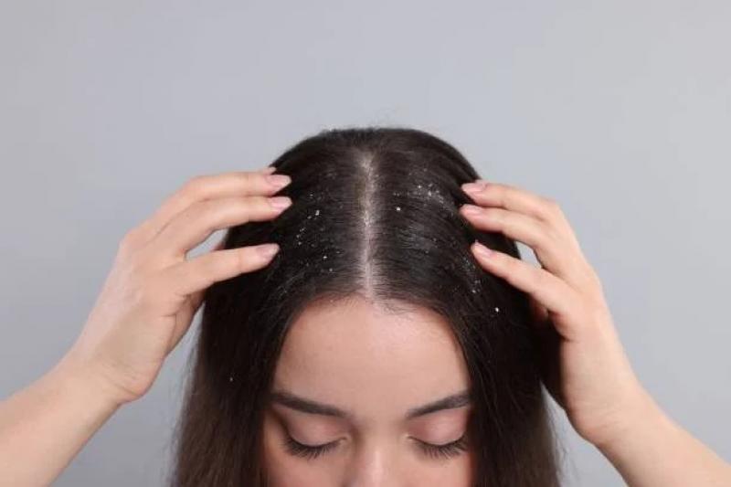 اليوم الاخباري