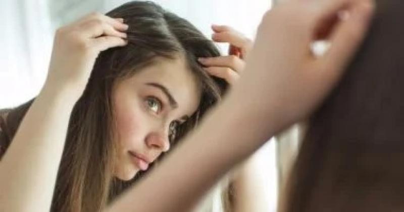 اليوم الاخباري