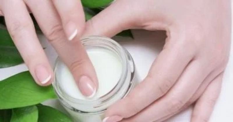 اليوم الاخباري