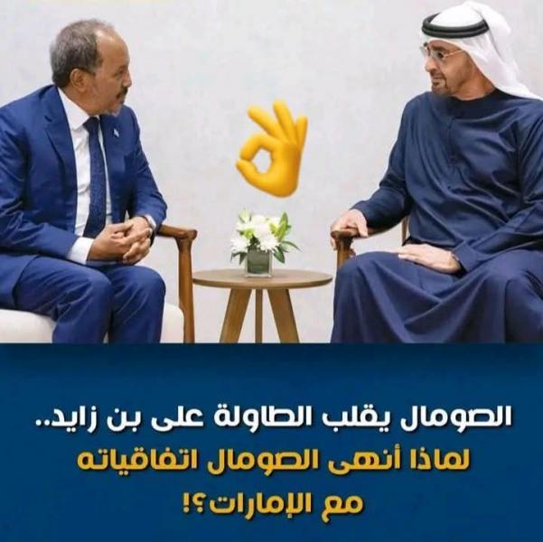 الصومال تكتشف تامر الامارات لتقسيم الصومال 