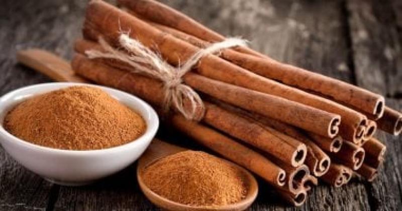 اليوم الاخباري