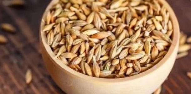 هل الشعير آمن لمرضى السكر؟