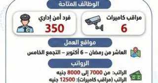 قدم الآن.. وزارة العمل تعلن عن 356 وظيفة شاغرة برواتب تصل لـ12500 جنيه