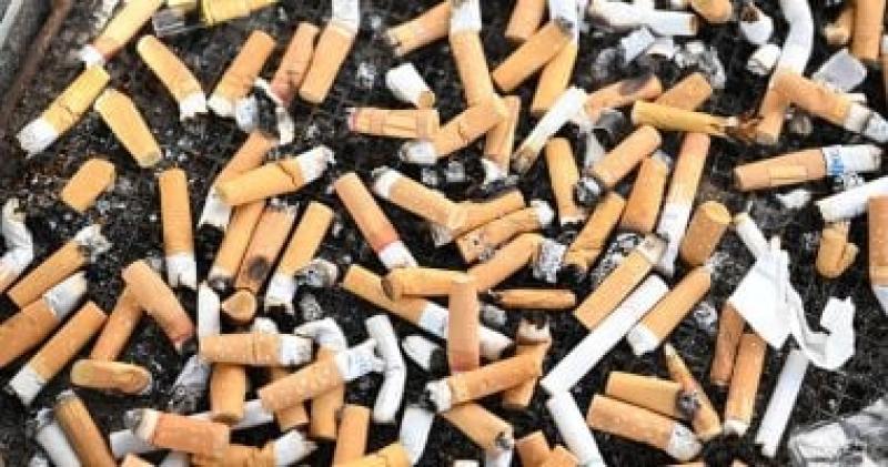 اليوم الاخباري