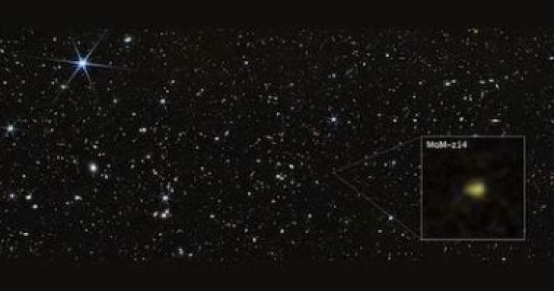 اليوم الاخباري