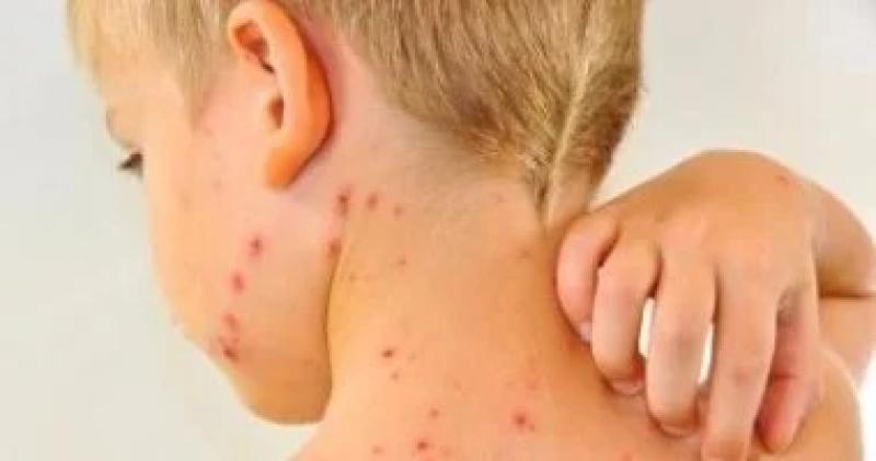 اليوم الاخباري