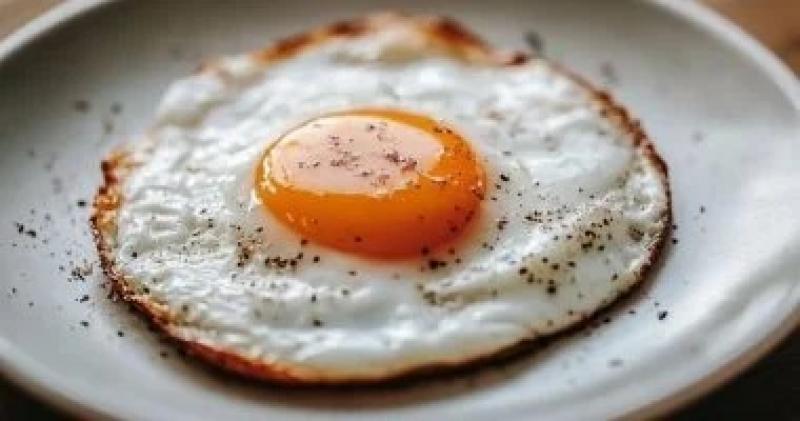 اليوم الاخباري