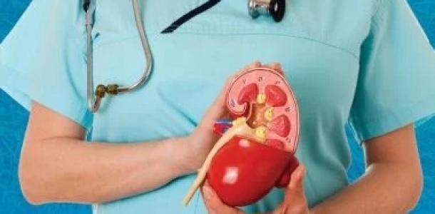 حصوات الكلى أبرزها.. 7 علامات لارتفاع مستوى حمض اليوريك لا تتجاهلها