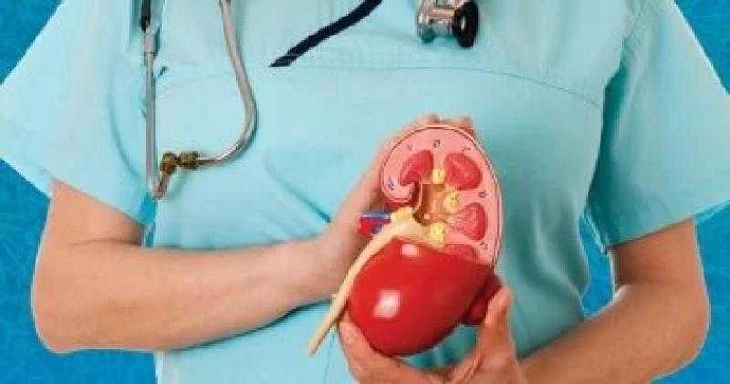 حصوات الكلى أبرزها.. 7 علامات لارتفاع مستوى حمض اليوريك لا تتجاهلها