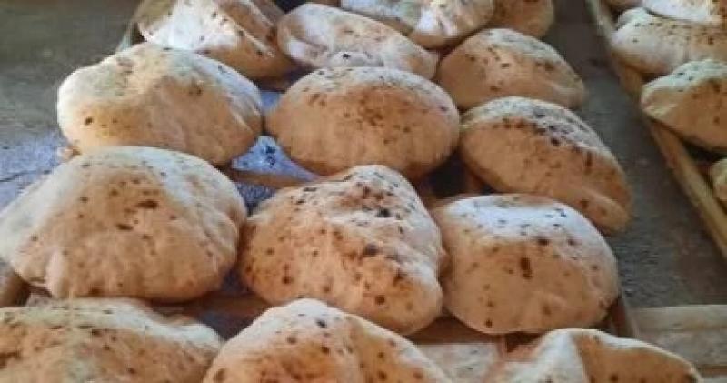 اليوم الاخباري