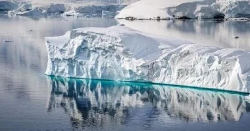 اليوم الاخباري