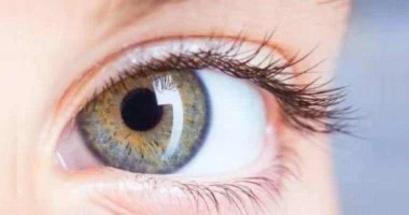 اليوم الاخباري