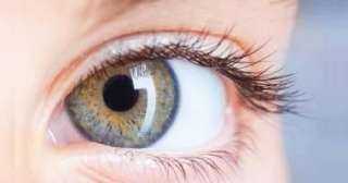 حتى لو نظرك ٦/٦.. نصائح للحفاظ على صحة البصر والوقاية من أمراض العين