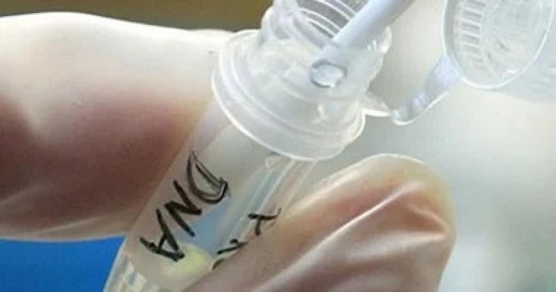 اليوم الاخباري