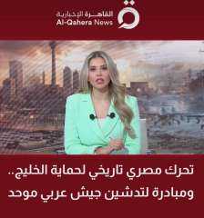 مصر تعلن الحماية على دول الخليج