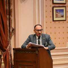 دكتور احمد دندش :سيبقى دور مصر محوريا فى ارساء الاستقرار فى المنطقه