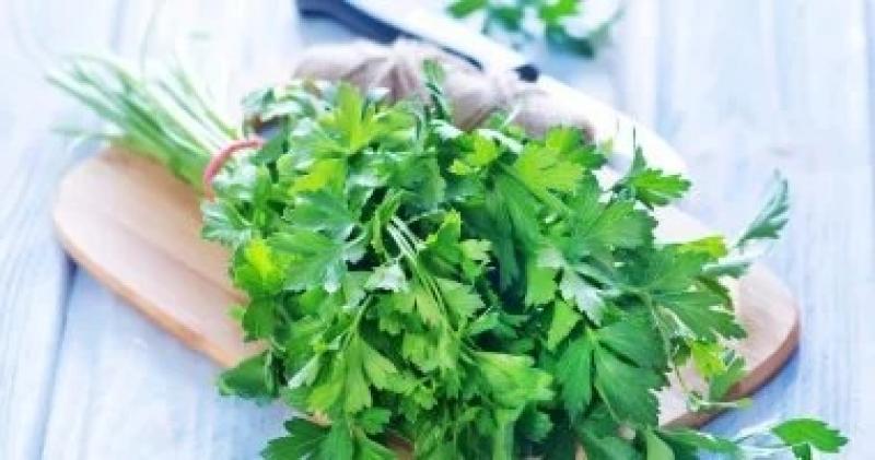 اليوم الاخباري