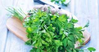 خضراوات غنية بالحديد.. تناولها بهذه الطريقة لحصد فوائدها