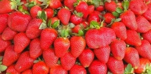 أطعمة يمكنك تناولها لعلاج نقص فيتامين سى