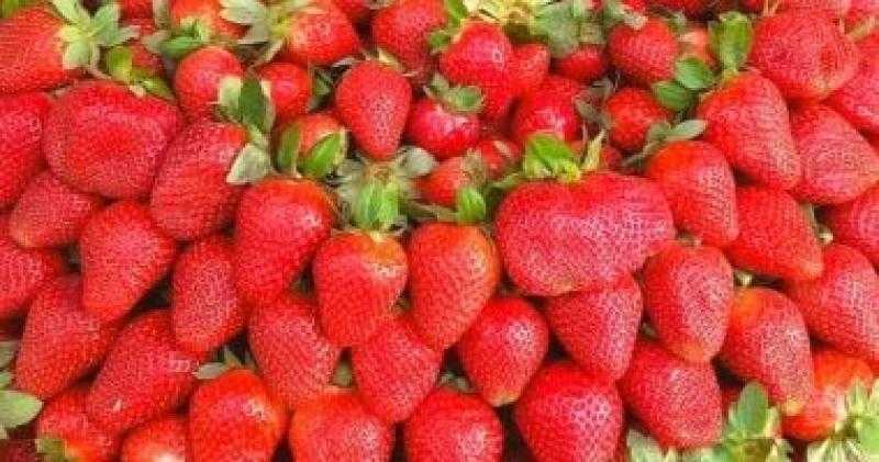 أطعمة يمكنك تناولها لعلاج نقص فيتامين سى