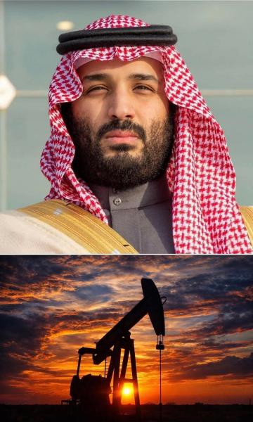 السعوديه تكسب وتحكم بحكمه الملوك 