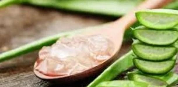 جل الصبار يساعدك فى الحصول على شعر رابونزيل.. بخطوات سهلة ومكونات متوفرة