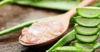 جل الصبار يساعدك فى الحصول على شعر رابونزيل.. بخطوات سهلة ومكونات متوفرة