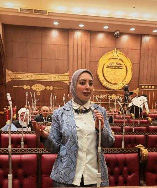 النائبة بسمة هنداوي: سوق حر بلا عدالة هى فوضى اقتصادية تدمر مقدرات الشعب