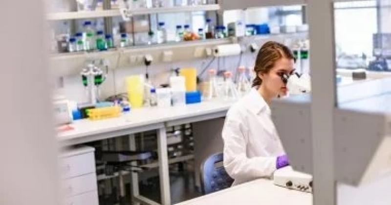 اليوم الاخباري