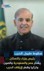 رئيس وزراء باكستان يشكر مصر و السعوديه وتركيا وقطر والصين