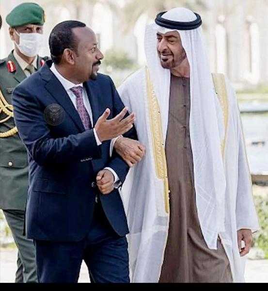 الامارات والسعوديه في قلب اثيوبيا