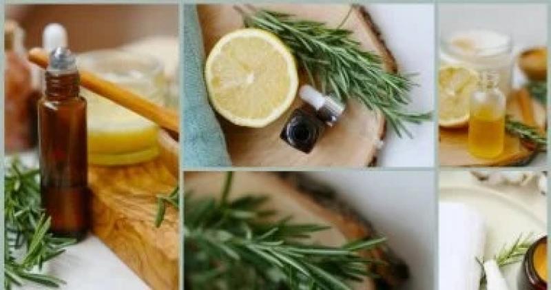 اليوم الاخباري